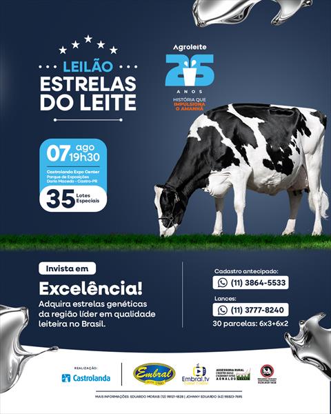 LEILÃO ESTRELAS DO LEITE | GADO HOLANDÊS LEILÃO ESTRELAS DO LEITE | GADO HOLANDÊS
