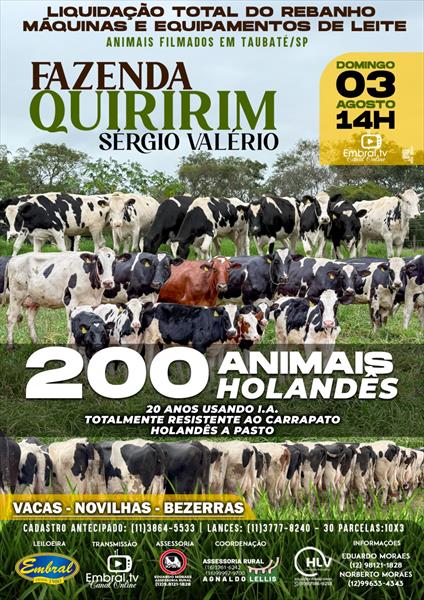 LEILÃO VIRTUAL LIQUIDAÇÃO TOTAL FAZENDA QUIRIRIM | GADO HOLANDES LEILÃO VIRTUAL LIQUIDAÇÃO TOTAL FAZENDA QUIRIRIM | GADO HOLANDES