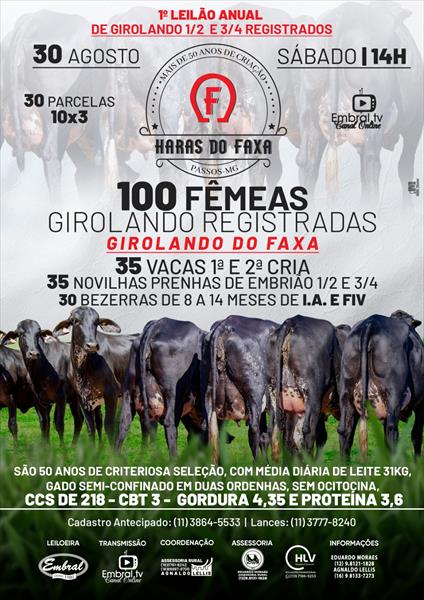 1º LEILÃO ANUAL HARAS DO FAXA | GADO GIROLANDO 1/2 E 3/4 1º LEILÃO ANUAL HARAS DO FAXA | GADO GIROLANDO 1/2 E 3/4