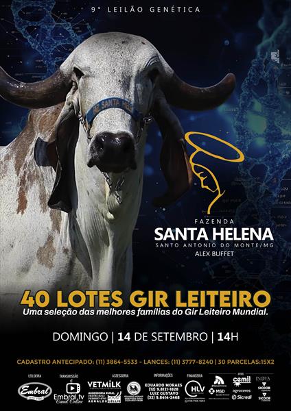 9º LEILÃO GENÉTICA FAZENDA SANTA HELENA | GADO GIR LEITEIRO