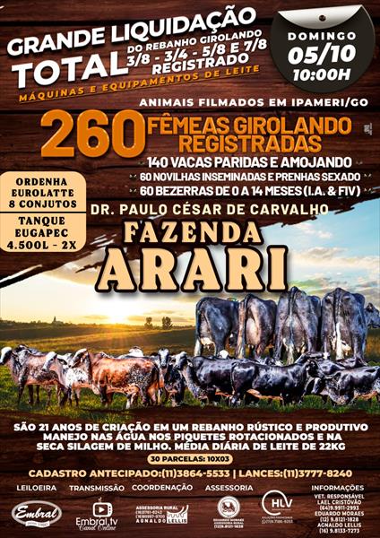 GRANDE LEILÃO LIQUIDAÇÃO DO REBANHO FAZENDA ARARI | GADO GIROLANDO 3/8, 3/4, 5/8 e 7/8 + MÁQUINAS E EQUIPAMENTOS DE LEITE