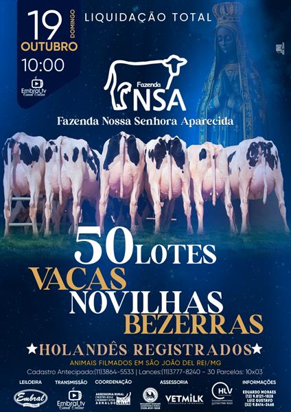 LEILÃO LIQUIDAÇÃO TOTAL FAZENDA NOSSA SENHORA APARECIDA | GADO HOLANDÊS