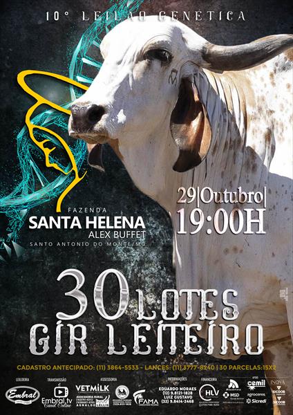 10º LEILÃO GENETICA FAZENDA SANTA HELENA | GIR LEITEIRO