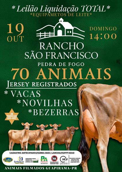 LEILÃO LIQUIDAÇÃO TOTAL RANCHO SÃO FRANCISCO | GADO JERSEY