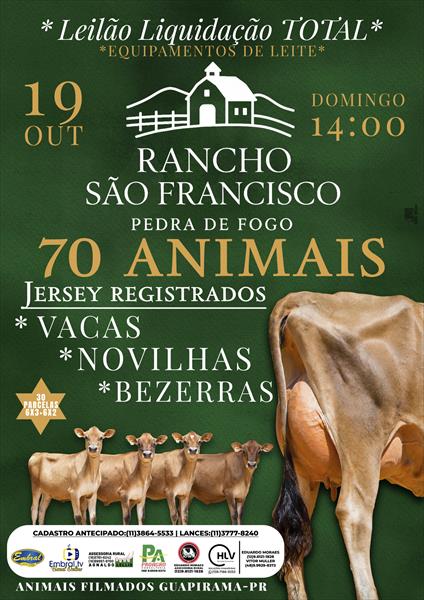 LEILÃO LIQUIDAÇÃO TOTAL RANCHO SÃO FRANCISCO | GADO JERSEY