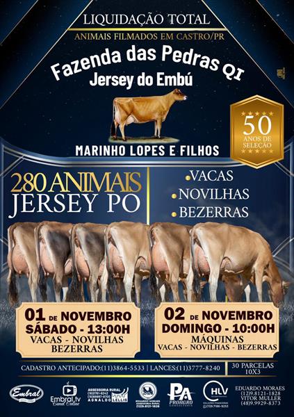 LIQUIDAÇÃO TOTAL FAZENDA DAS PEDRAS QI | JERSEY DO EMBU | GADO JERSEY - MÁQUINAS E EQUIPAMENTOS DE LEITE