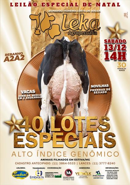 LEILÃO ESPECIAL DE NATAL LEKA AGROPECUÁRIA | GADO HOLANDÊS 