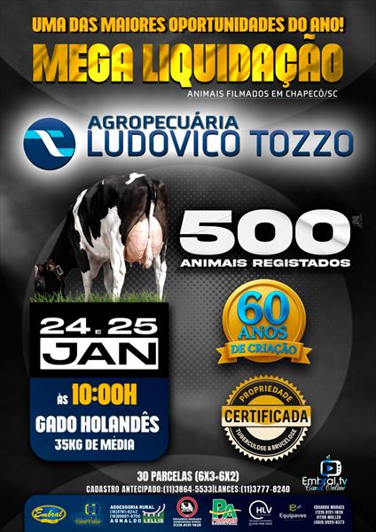 MEGA LEILÃO LIQUIDAÇÃO LUDOVICO TOZZO | GADO HOLANDÊS - DIA 2