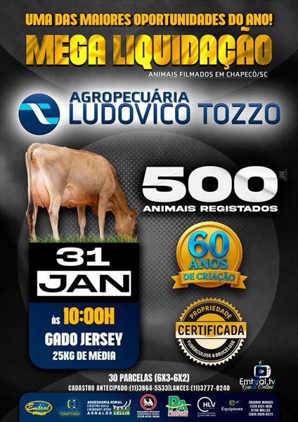MEGA LEILÃO LIQUIDAÇÃO LUDOVICO TOZZO | GADO JERSEY - DIA 3