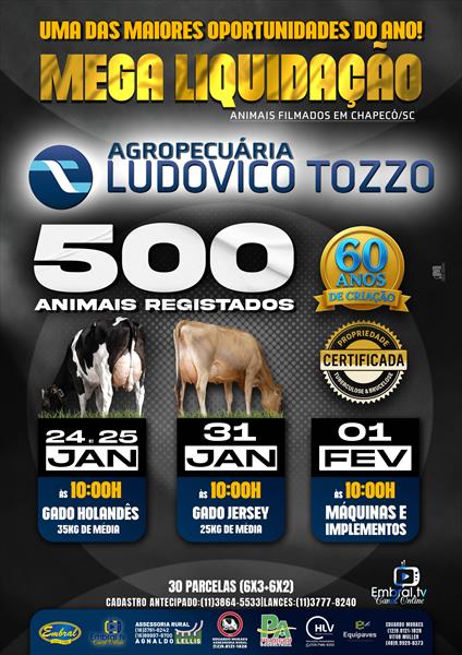 MEGA LEILÃO LIQUIDAÇÃO LUDOVICO TOZZO | MÁQUINAS E IMPLEMENTOS - DIA 4