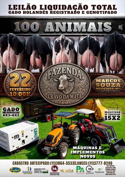 LEILÃO LIQUIDAÇÃO DO REBANHO FAZENDA CRAVO DA MATA | GADO HOLANDÊS E OFERTA DE MÁQUINAS E IMPLEMENTOS AGRÍCOLAS