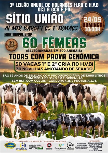 3º LEILÃO ANUAL SÍTIO UNIÃO | GADO HOLANDÊS HVB E HPB GC1 A GC6