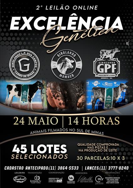2º LEILÃO ONLINE EXCELÊNCIA GENÉTICA | GADO GIROLANDO
