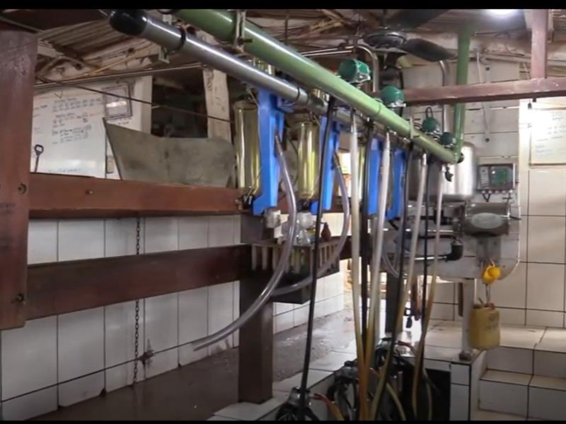 EQUIPAMENTO A VENDA | ORDENHA MECÂNICA CANALIZADA
