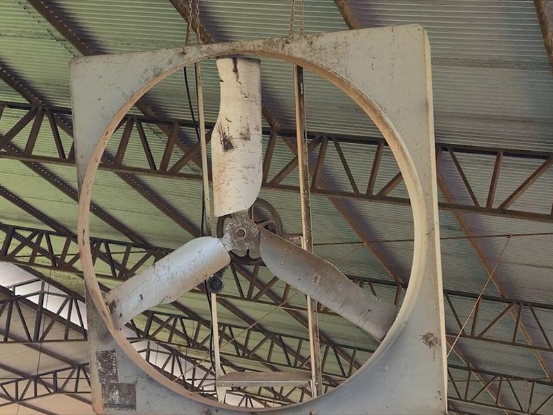 EQUIPAMENTO À VENDA | 14 VENTILADORES GEA