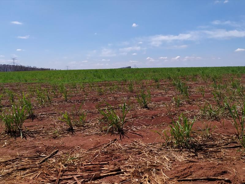 PROPRIEDADE A VENDA | FAZENDA NA REGIÃO DE PIRACICABA/SP