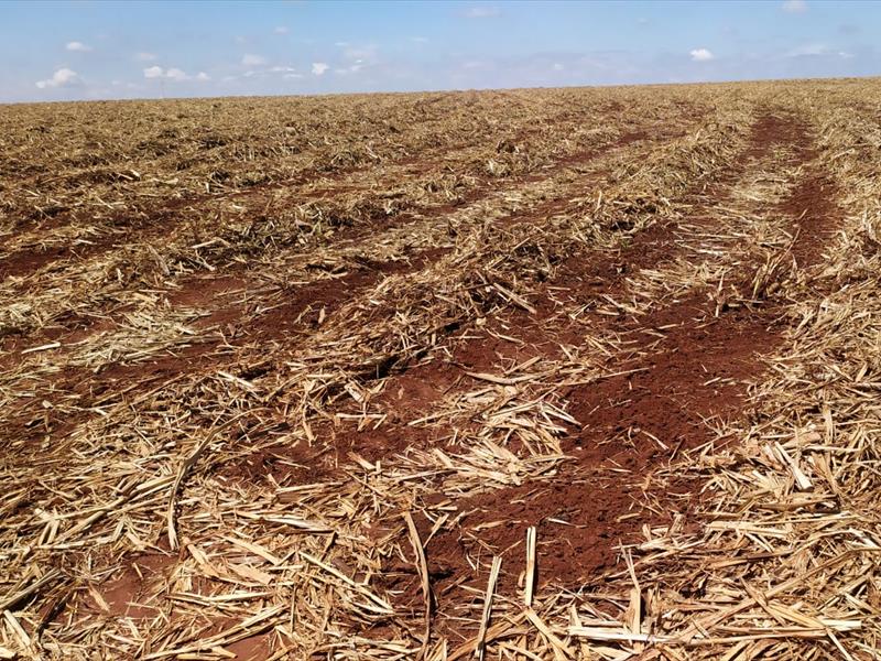 PROPRIEDADE A VENDA | FAZENDA NA REGIÃO DE PIRACICABA/SP
