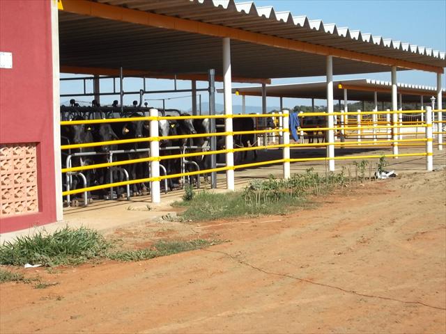 PROPRIEDADE A VENDA | FAZENDA |
MONTE BELO/MG | 267 HECTARES