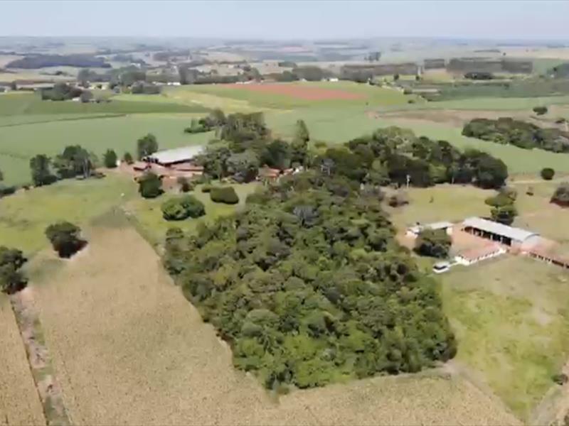 PROPRIEDADE A VENDA | FAZENDA |
TATUI/SP | 84 HECTARES
