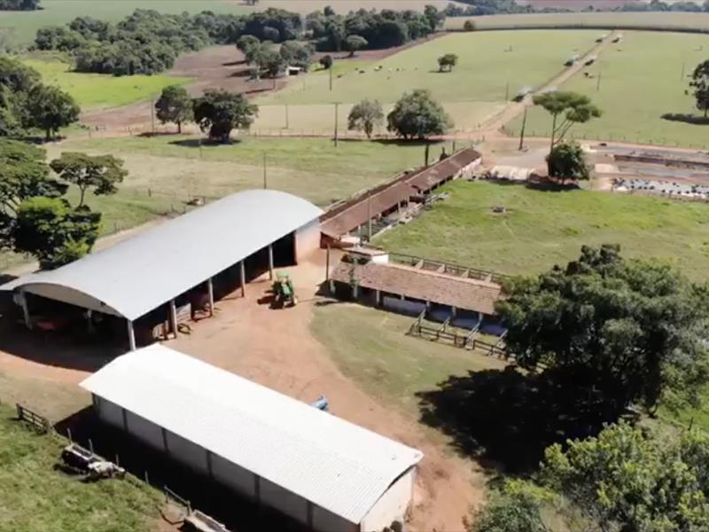 PROPRIEDADE A VENDA | FAZENDA |
TATUI/SP | 84 HECTARES