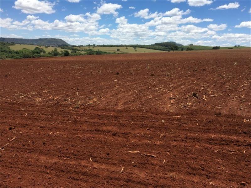 PROPRIEDADE À VENDA | FAZENDA EM ITAMOGI