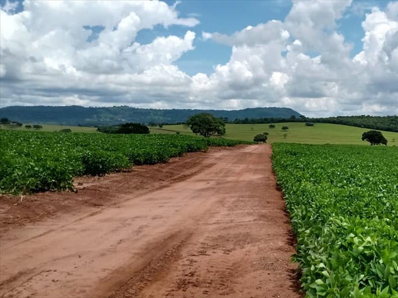 PROPRIEDADE À VENDA | FAZENDA EM ITAMOGI