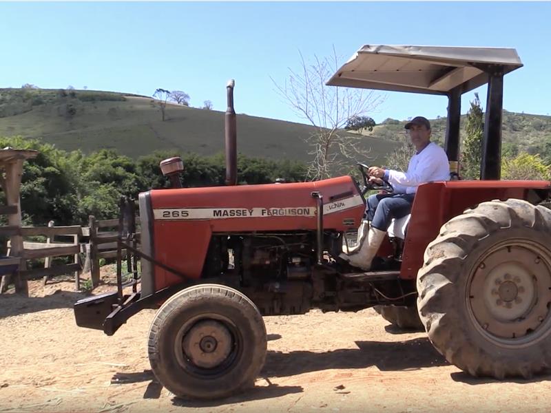TRATOR MASSEY FERGUSON 265 | Ano 1999
