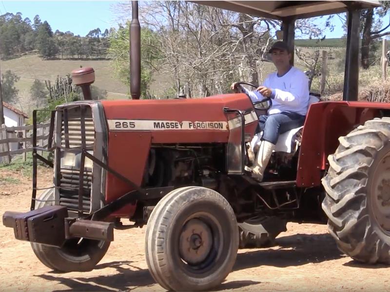 TRATOR MASSEY FERGUSON 265 | Ano 1999