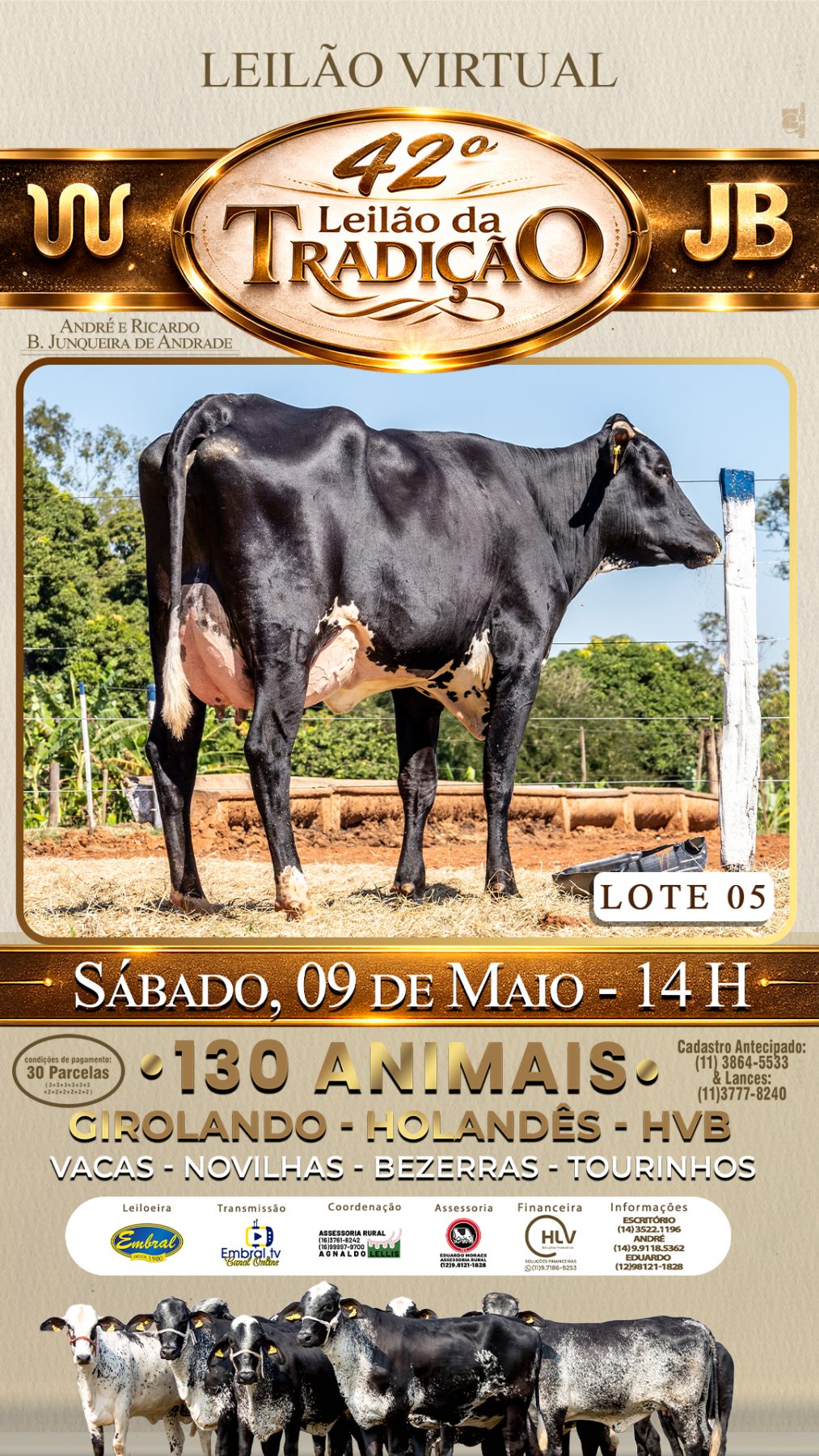 42º LEILÃO DA TRADIÇÃO | GADO GIROLANDO E HOLANDÊS HVB - lote 5