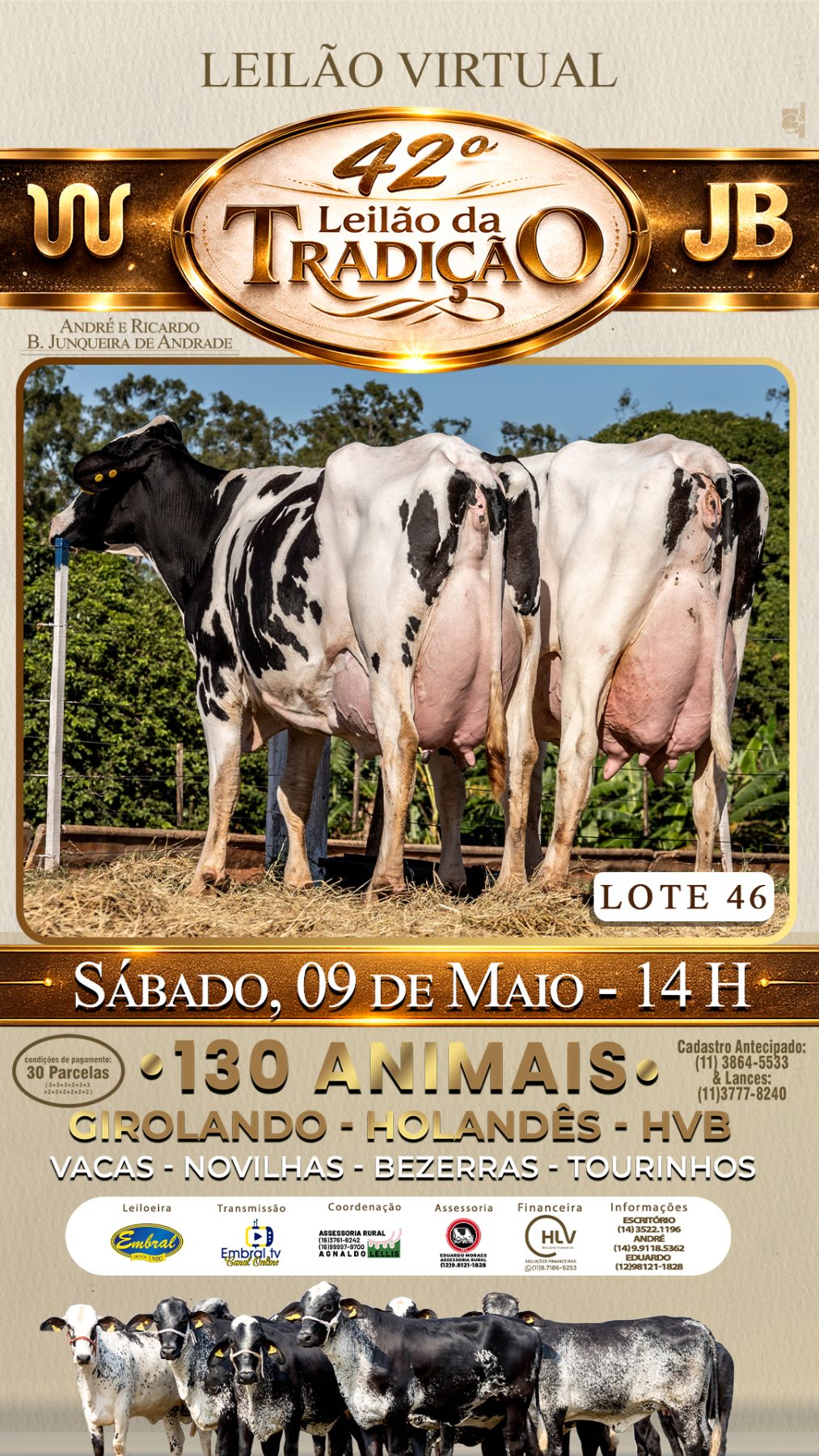 42º LEILÃO DA TRADIÇÃO | GADO GIROLANDO E HOLANDÊS HVB - lote 46