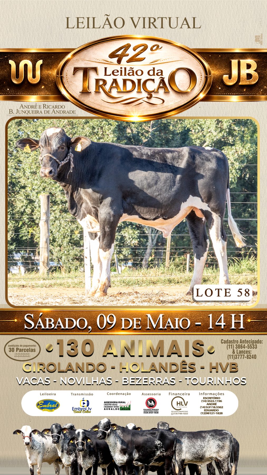 42º LEILÃO DA TRADIÇÃO | GADO GIROLANDO E HOLANDÊS HVB - lote 58