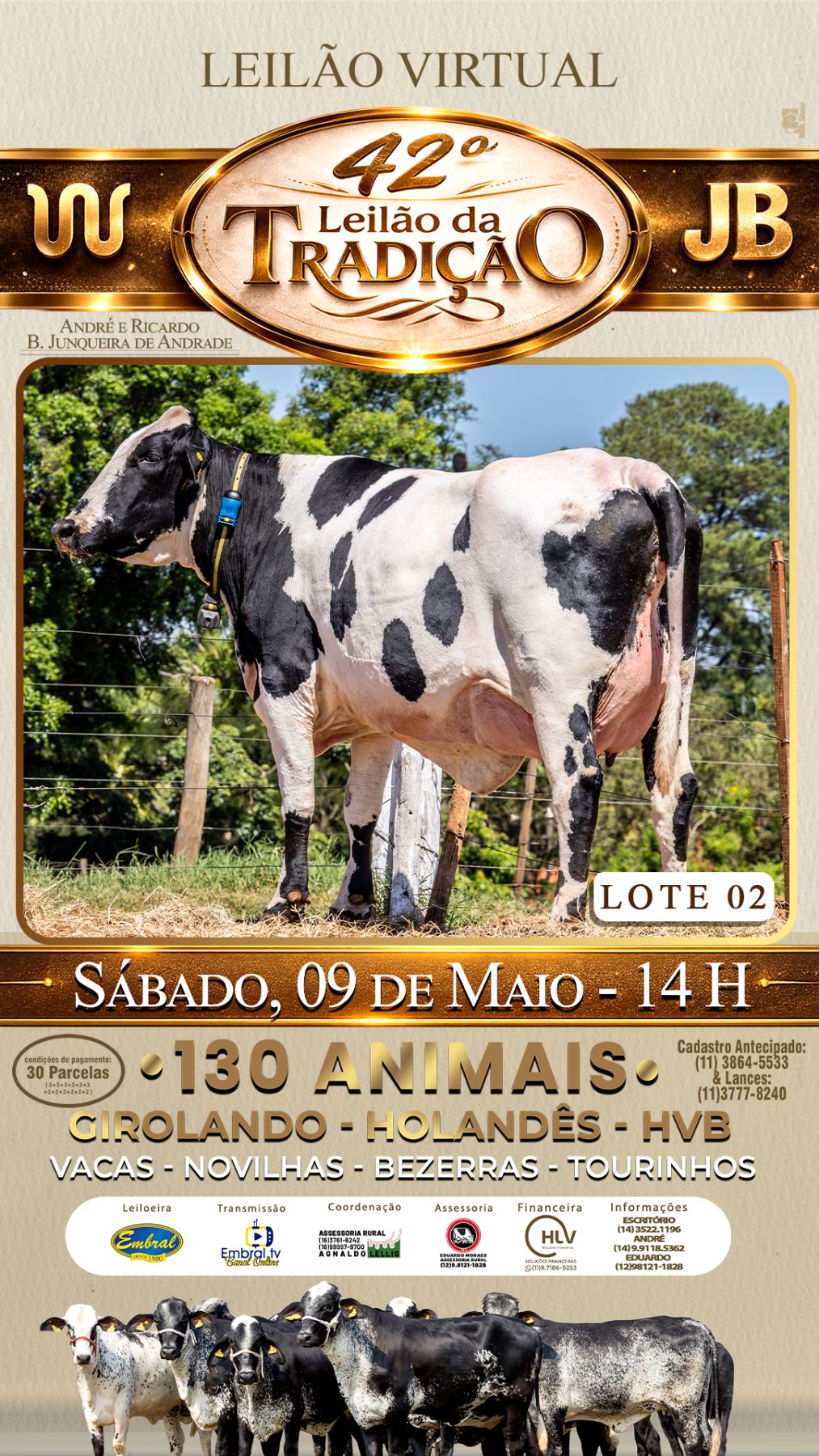 42º LEILÃO DA TRADIÇÃO | GADO GIROLANDO E HOLANDÊS HVB - lote 2
