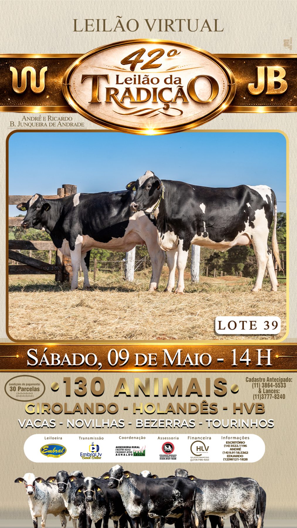 42º LEILÃO DA TRADIÇÃO | GADO GIROLANDO E HOLANDÊS HVB - lote 39