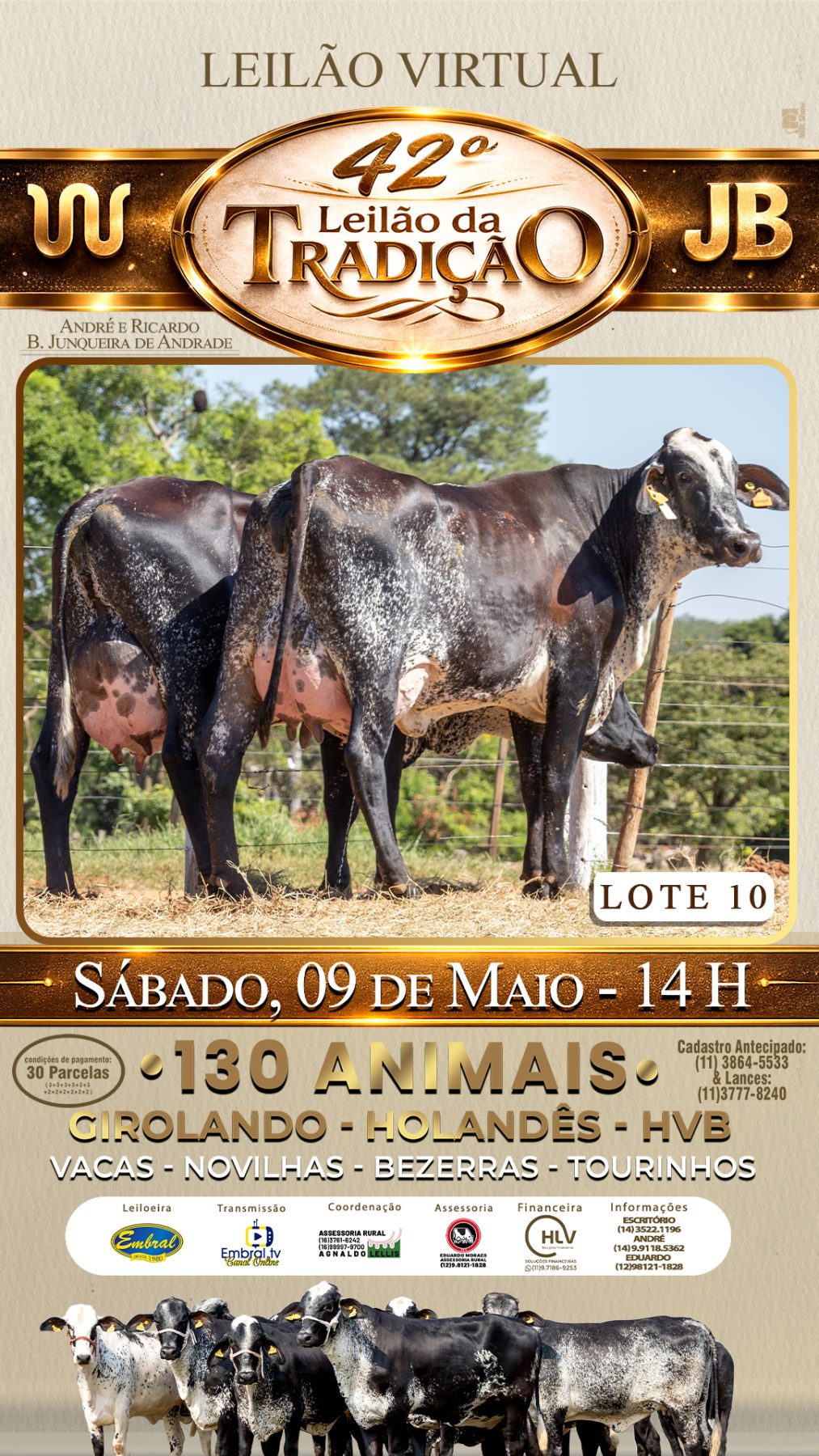 42º LEILÃO DA TRADIÇÃO | GADO GIROLANDO E HOLANDÊS HVB - lote 10