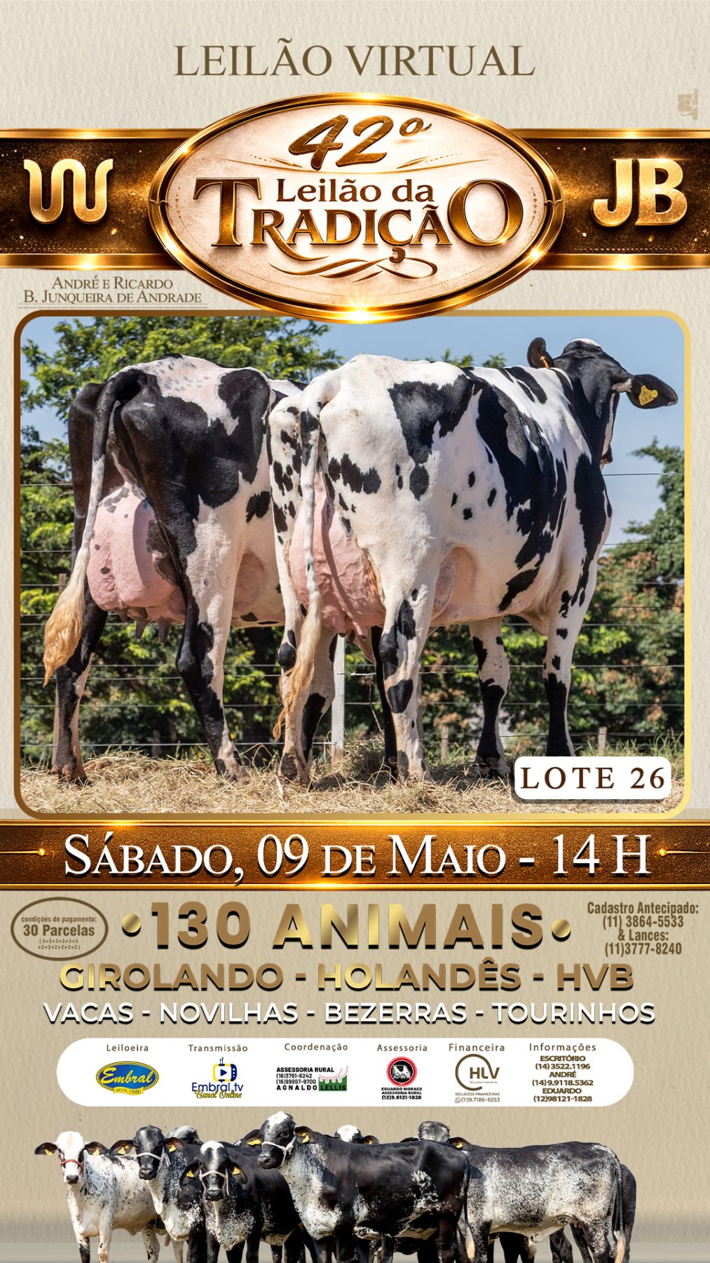 42º LEILÃO DA TRADIÇÃO | GADO GIROLANDO E HOLANDÊS HVB - lote 26
