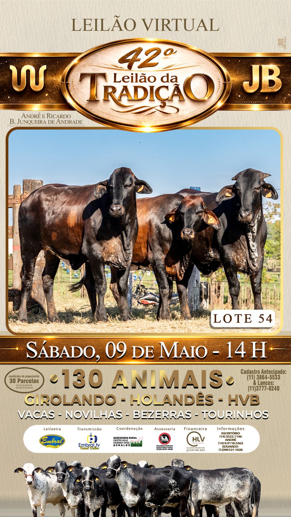42º LEILÃO DA TRADIÇÃO | GADO GIROLANDO E HOLANDÊS HVB - lote 54