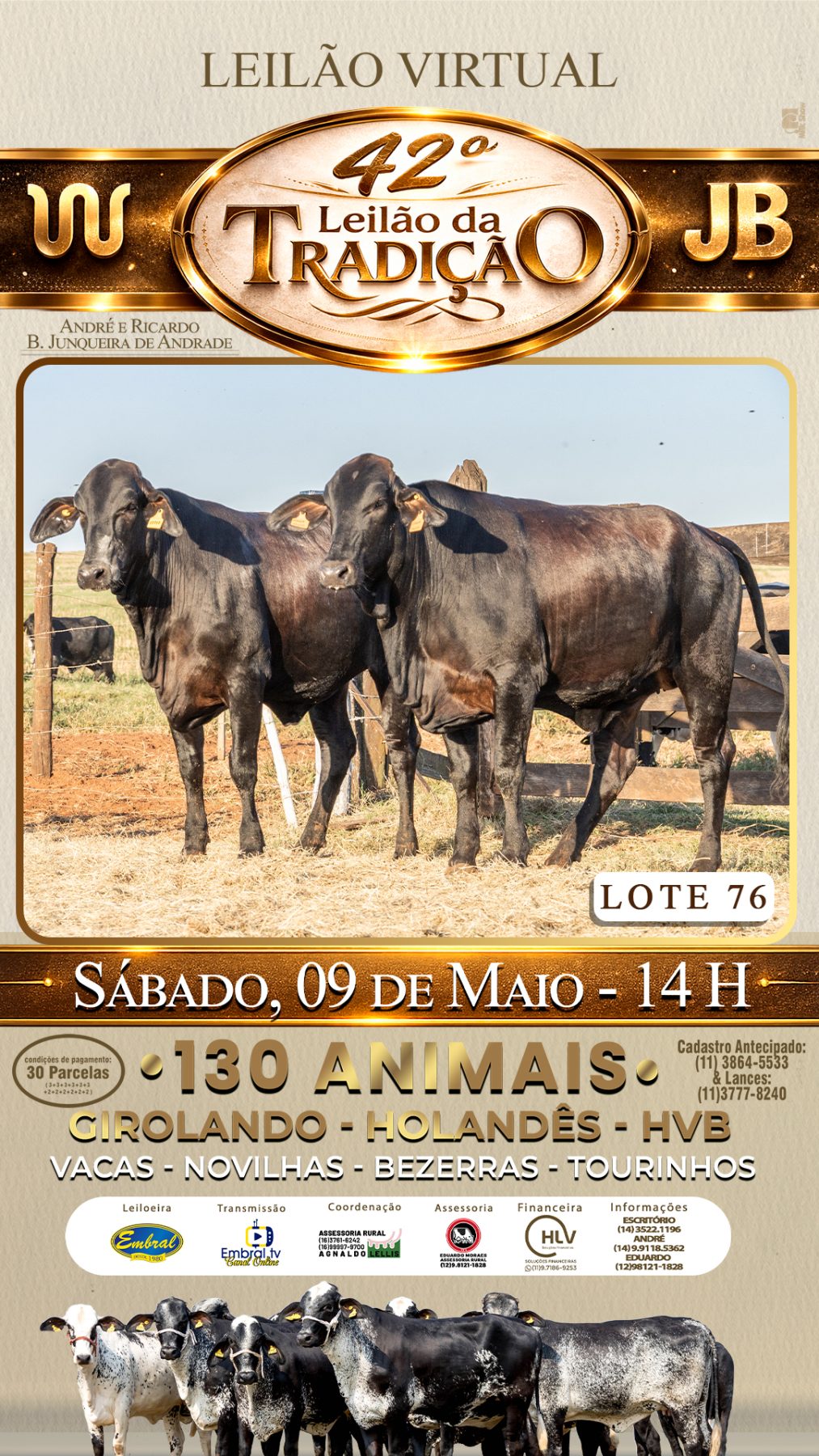 42º LEILÃO DA TRADIÇÃO | GADO GIROLANDO E HOLANDÊS HVB - lote 76