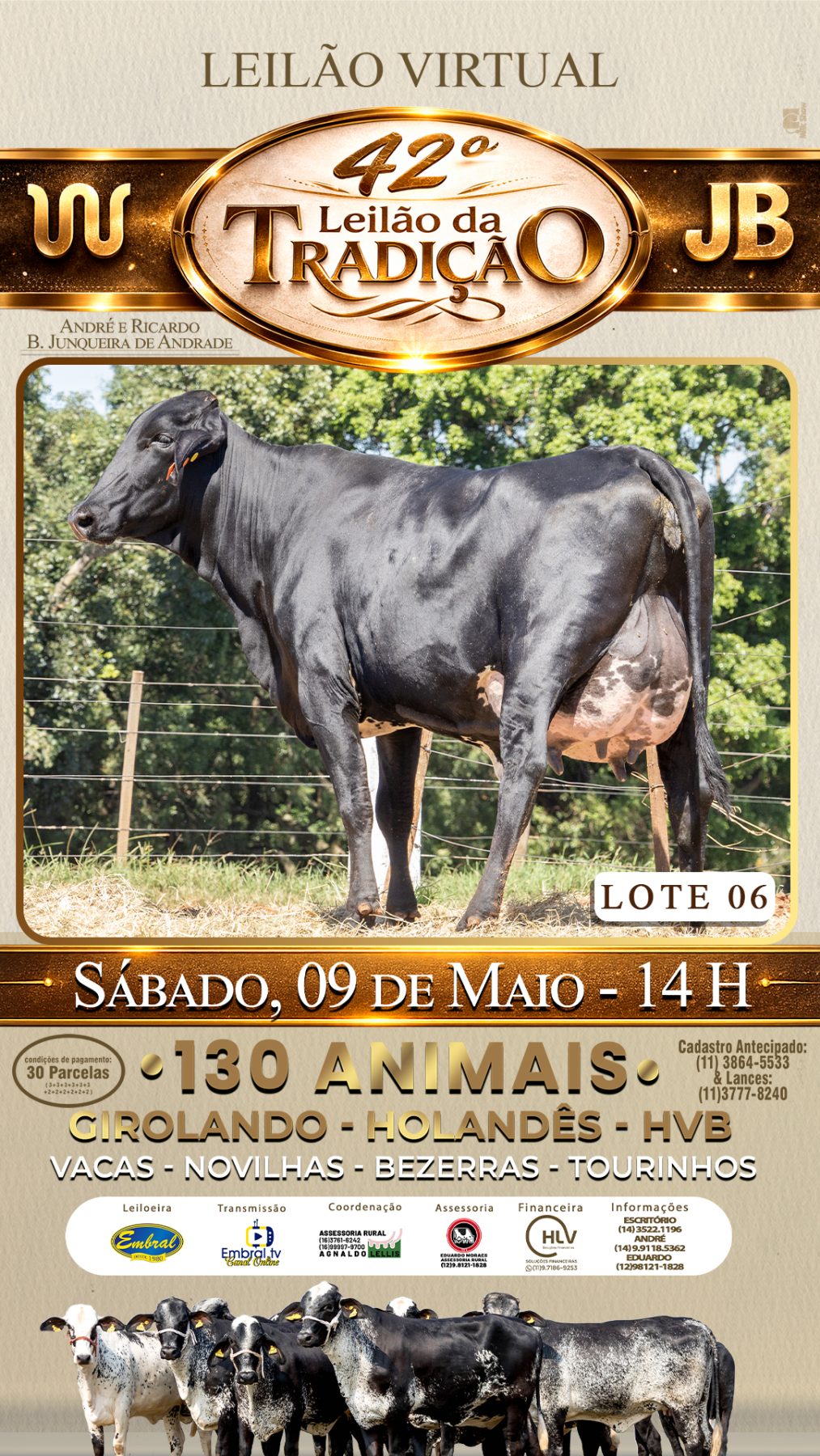 42º LEILÃO DA TRADIÇÃO | GADO GIROLANDO E HOLANDÊS HVB - lote 6