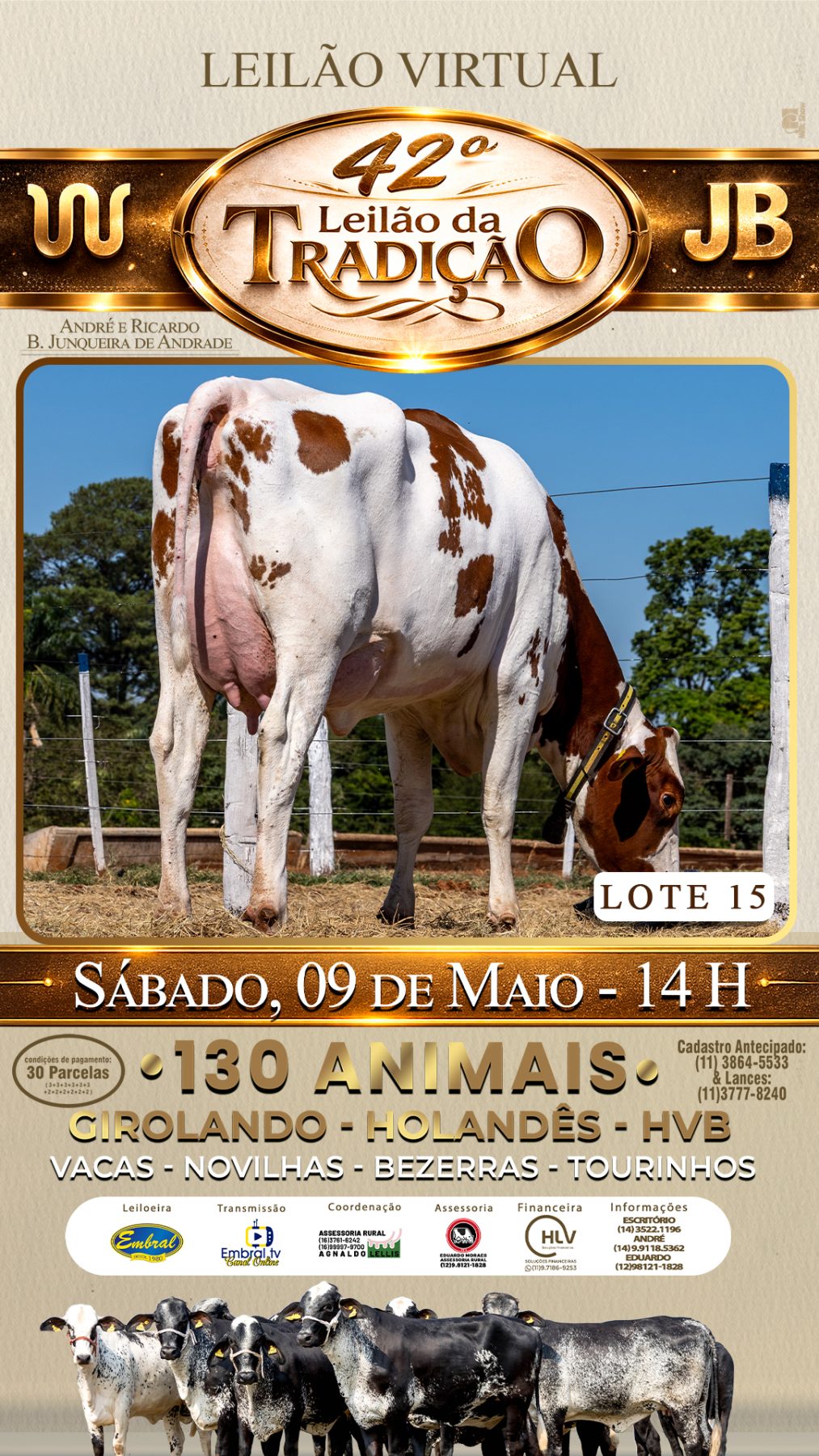 42º LEILÃO DA TRADIÇÃO | GADO GIROLANDO E HOLANDÊS HVB - lote 15