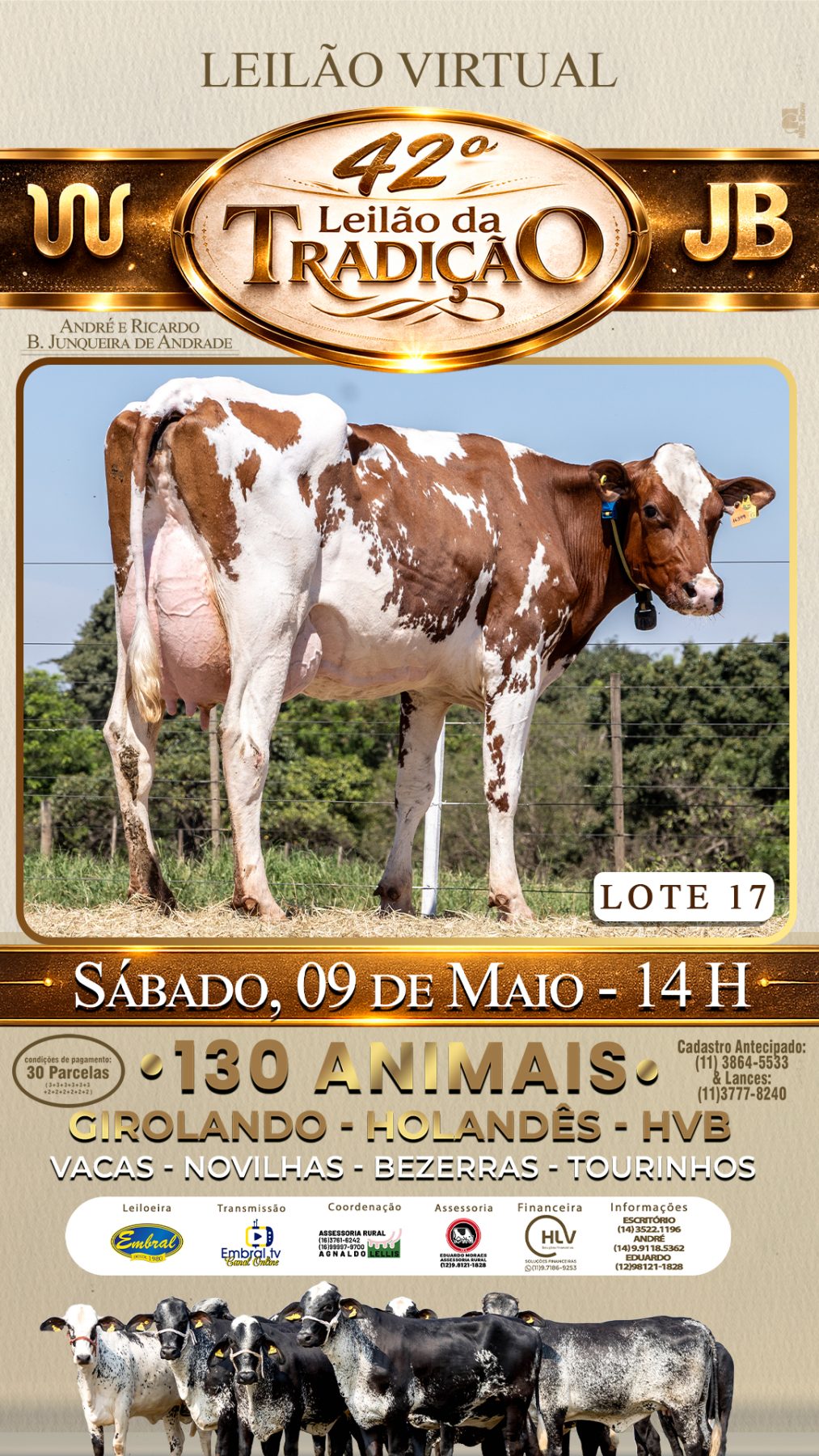 42º LEILÃO DA TRADIÇÃO | GADO GIROLANDO E HOLANDÊS HVB - lote 17