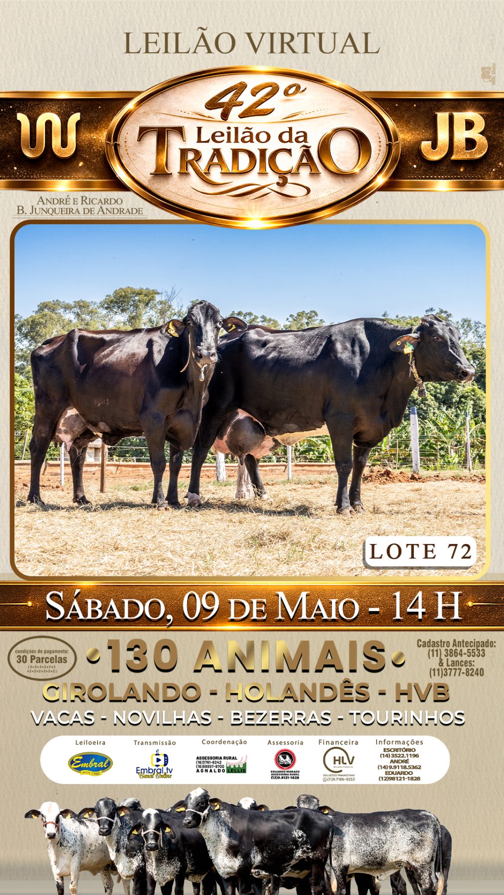42º LEILÃO DA TRADIÇÃO | GADO GIROLANDO E HOLANDÊS HVB - lote 72