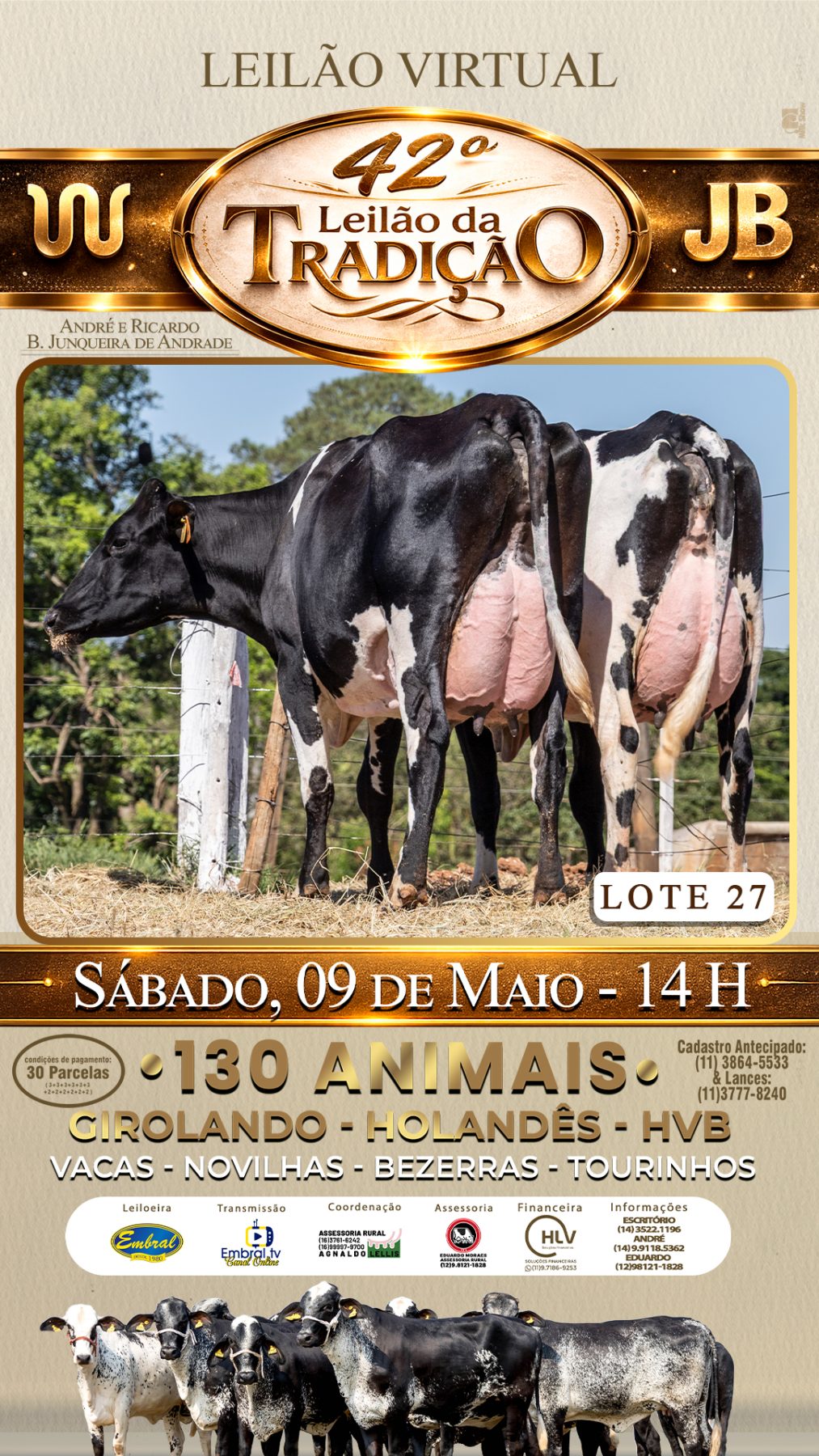 42º LEILÃO DA TRADIÇÃO | GADO GIROLANDO E HOLANDÊS HVB - lote 27