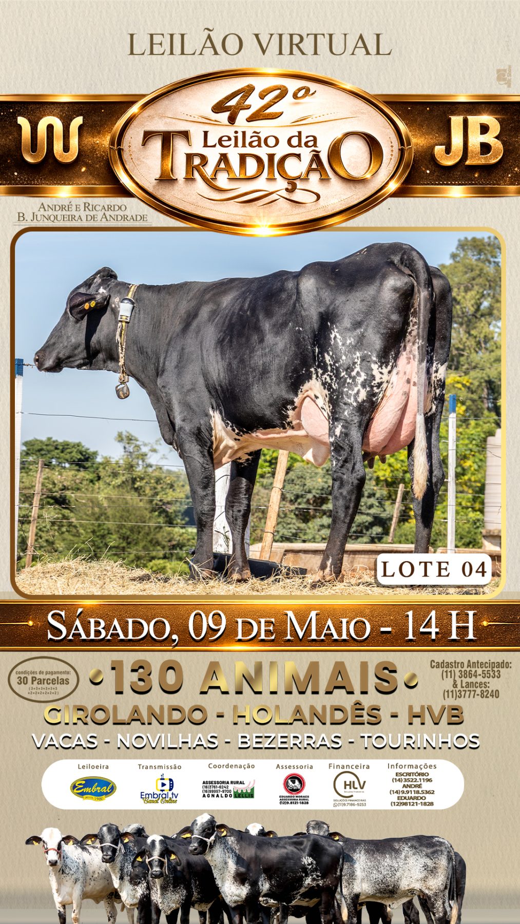 42º LEILÃO DA TRADIÇÃO | GADO GIROLANDO E HOLANDÊS HVB - lote 4