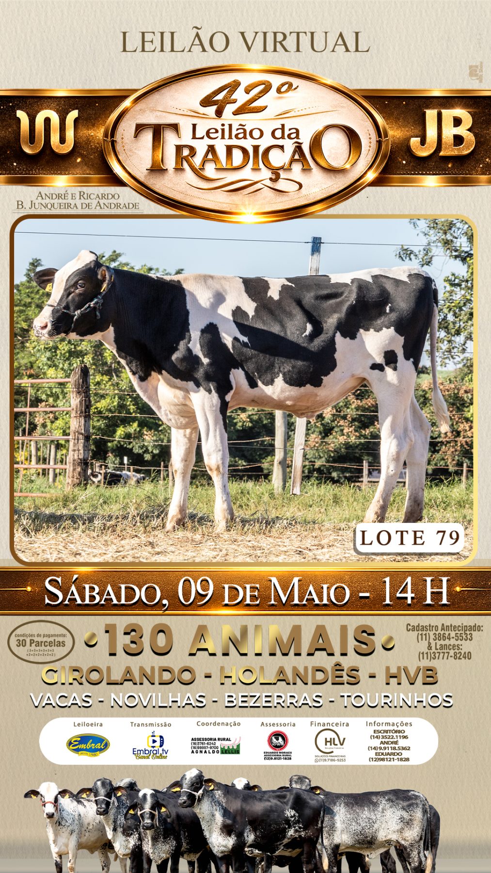 42º LEILÃO DA TRADIÇÃO | GADO GIROLANDO E HOLANDÊS HVB - lote 79