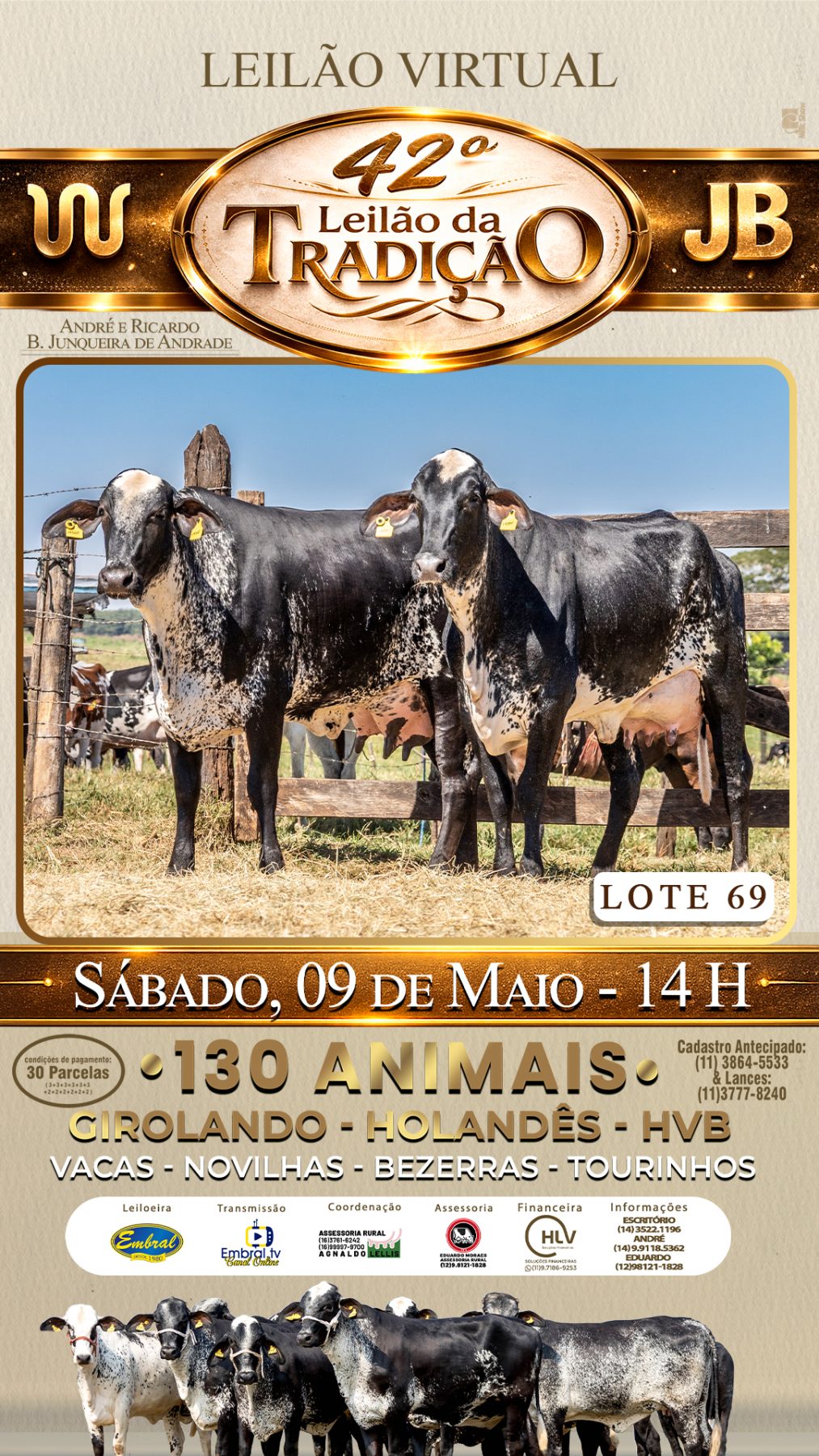 42º LEILÃO DA TRADIÇÃO | GADO GIROLANDO E HOLANDÊS HVB - lote 69