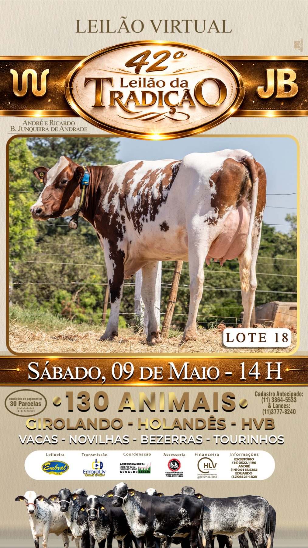 42º LEILÃO DA TRADIÇÃO | GADO GIROLANDO E HOLANDÊS HVB - lote 18
