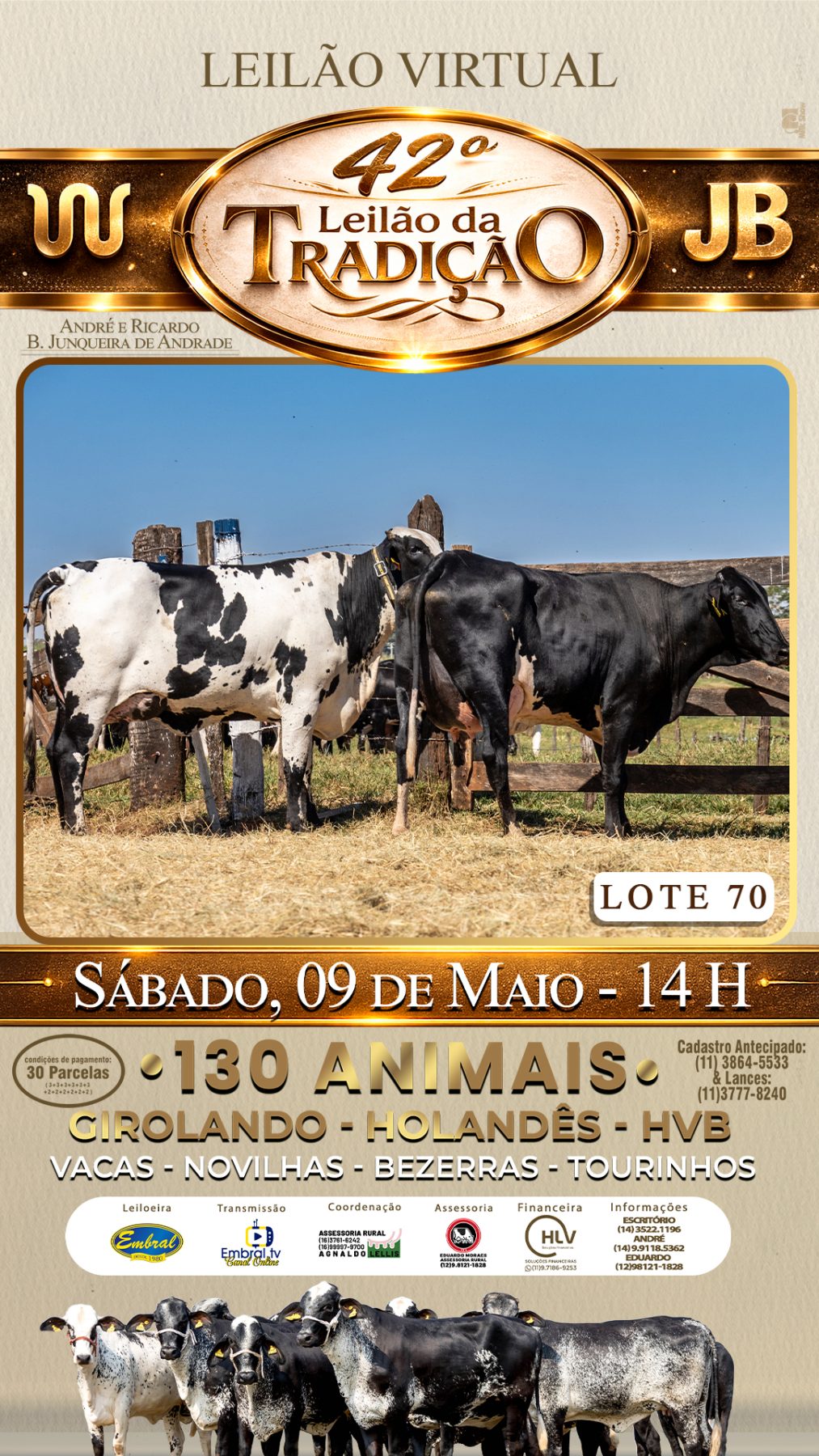 42º LEILÃO DA TRADIÇÃO | GADO GIROLANDO E HOLANDÊS HVB - lote 70