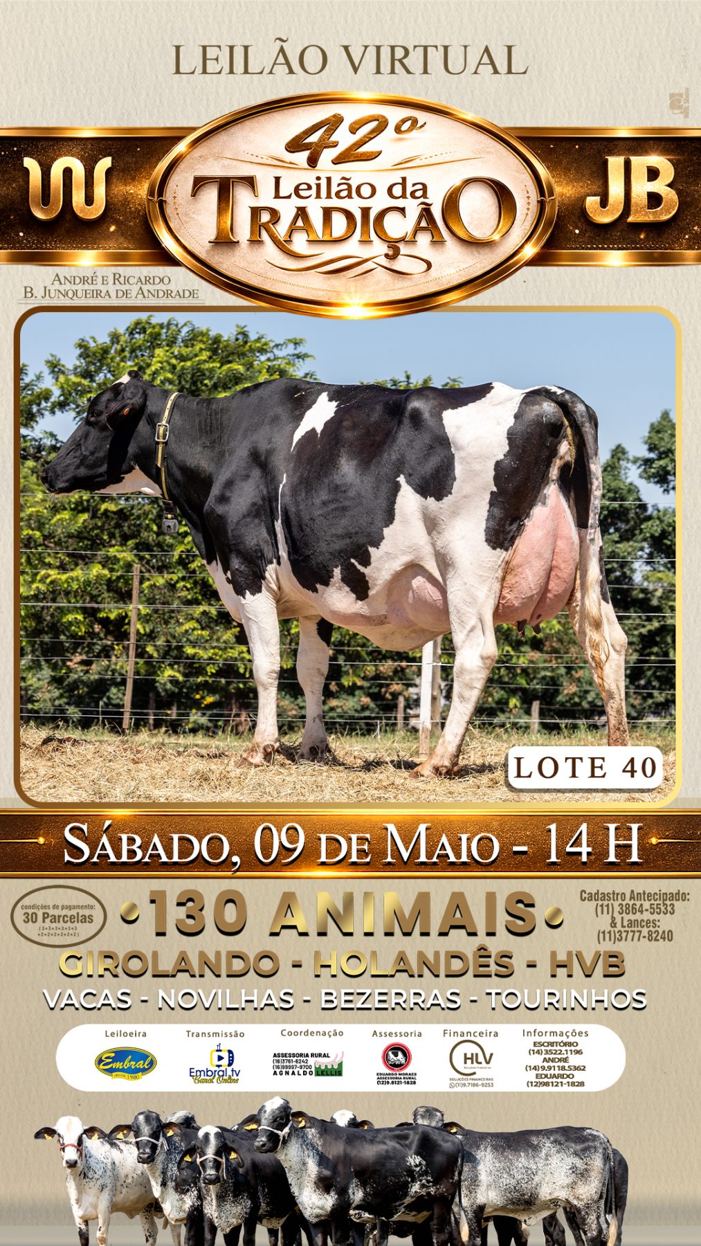 42º LEILÃO DA TRADIÇÃO | GADO GIROLANDO E HOLANDÊS HVB - lote 40