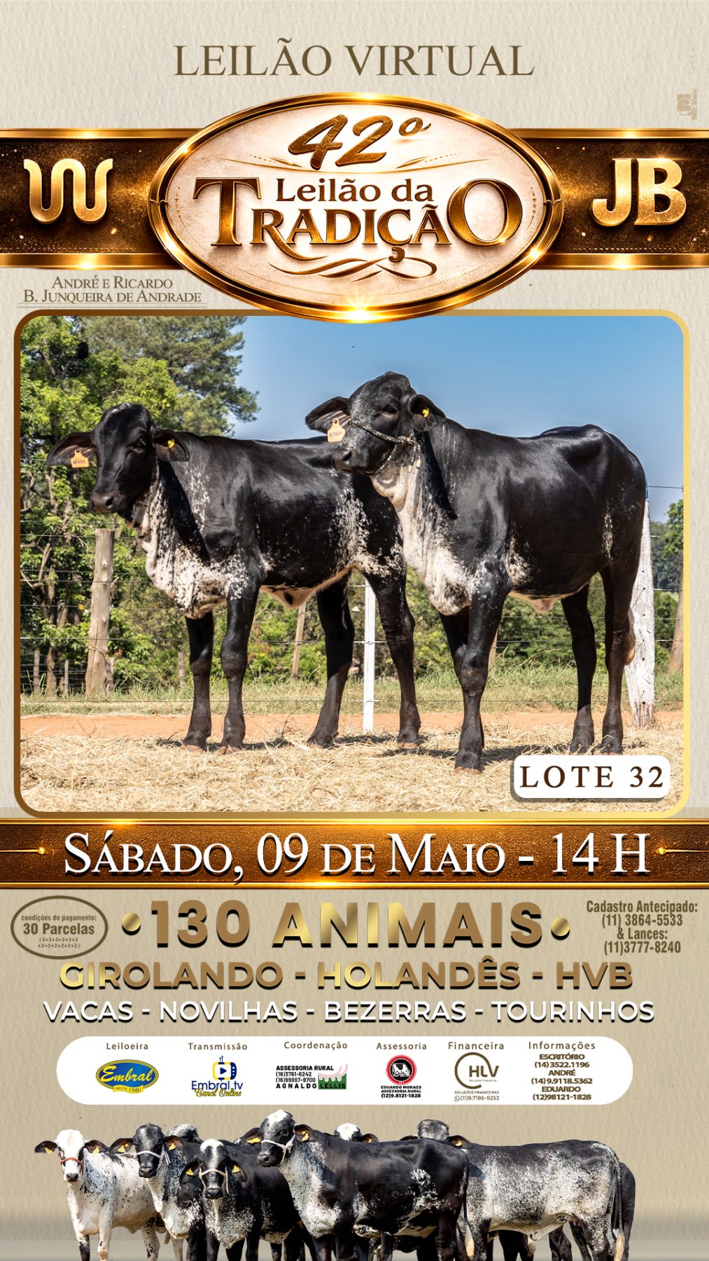 42º LEILÃO DA TRADIÇÃO | GADO GIROLANDO E HOLANDÊS HVB - lote 32