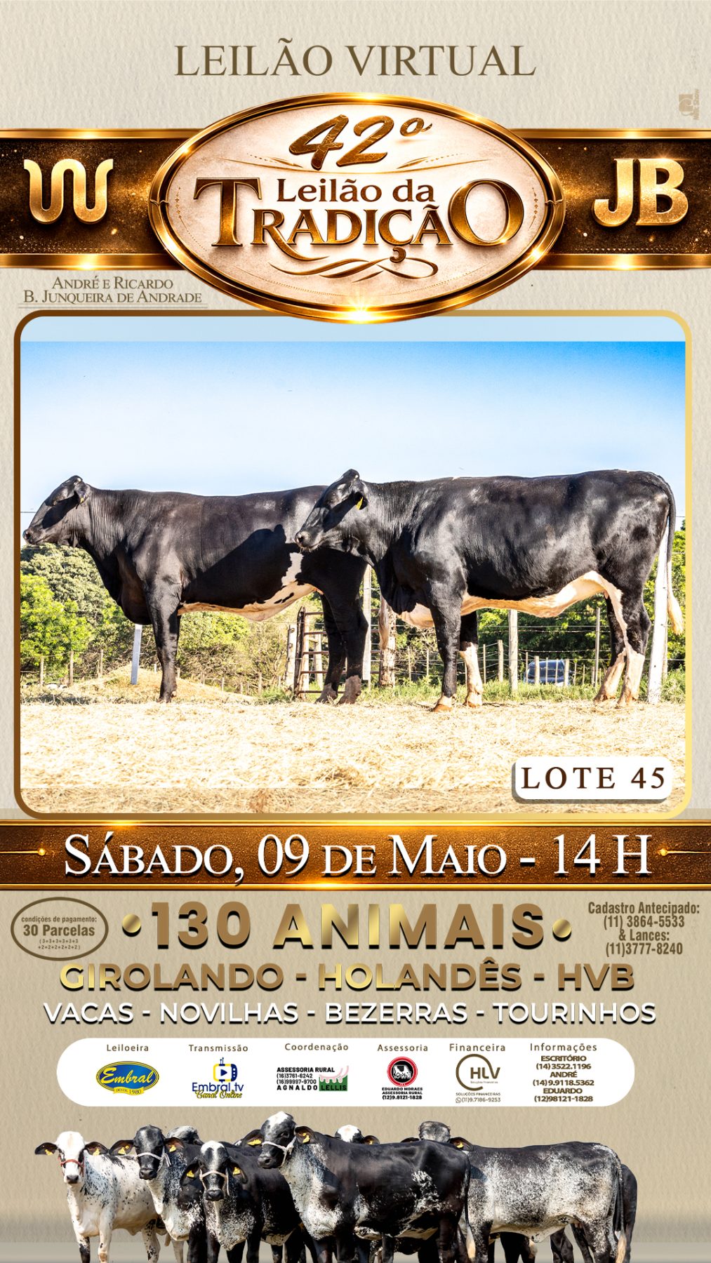 42º LEILÃO DA TRADIÇÃO | GADO GIROLANDO E HOLANDÊS HVB - lote 45